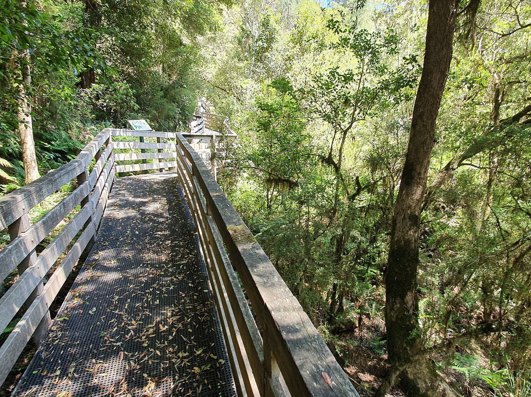 Mackenzie River Rainforest Walk景点图片