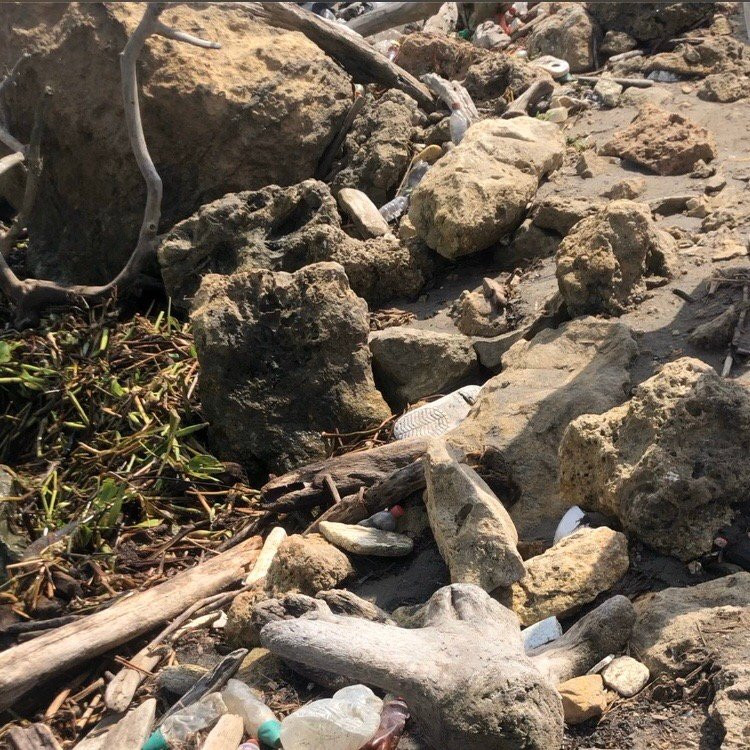 Bocas de Cenizas-Barranquilla必去景点