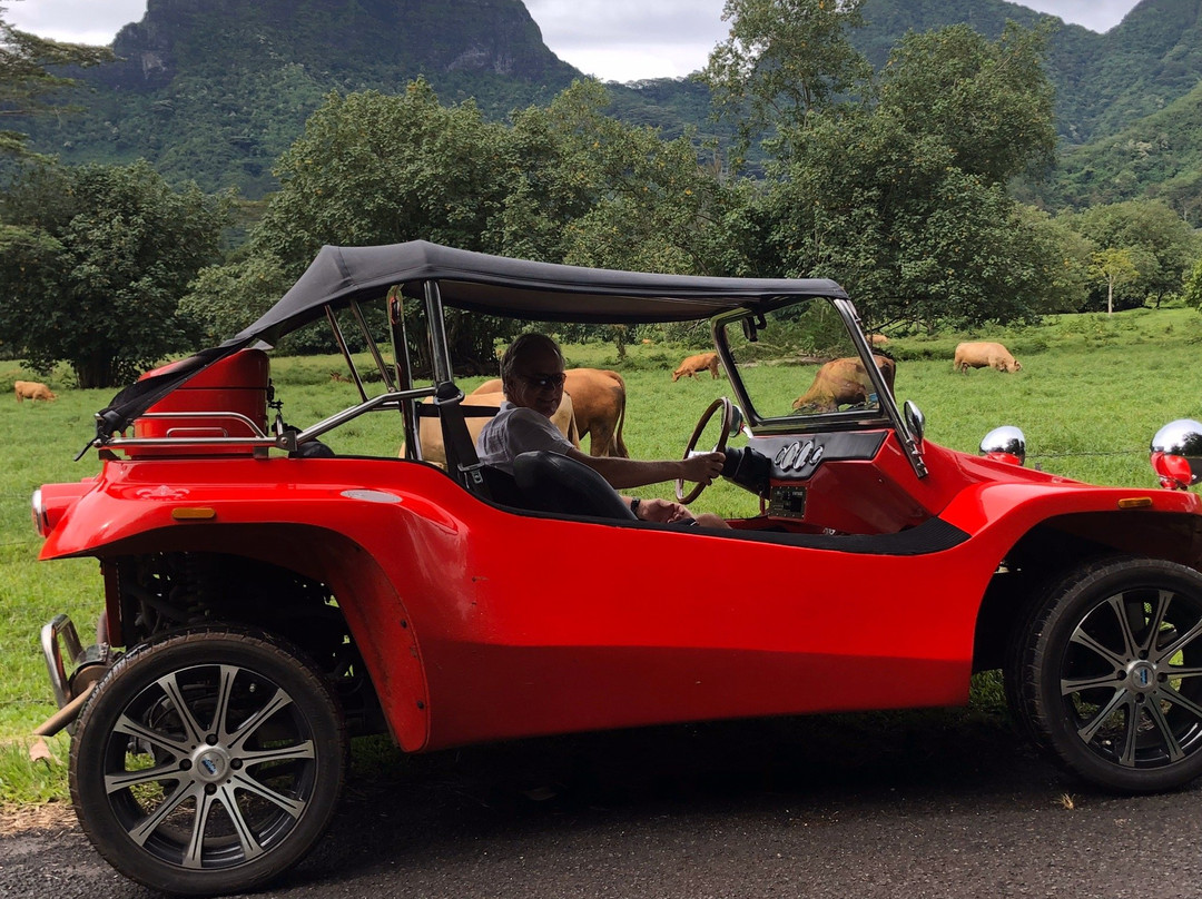 Moorea Fun Roadster景点图片