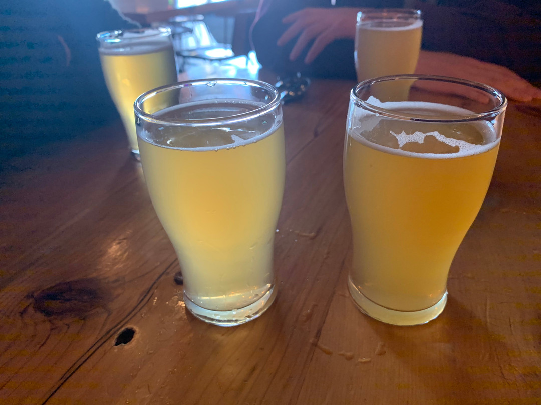 Off Color Brewing-芝加哥必去景点