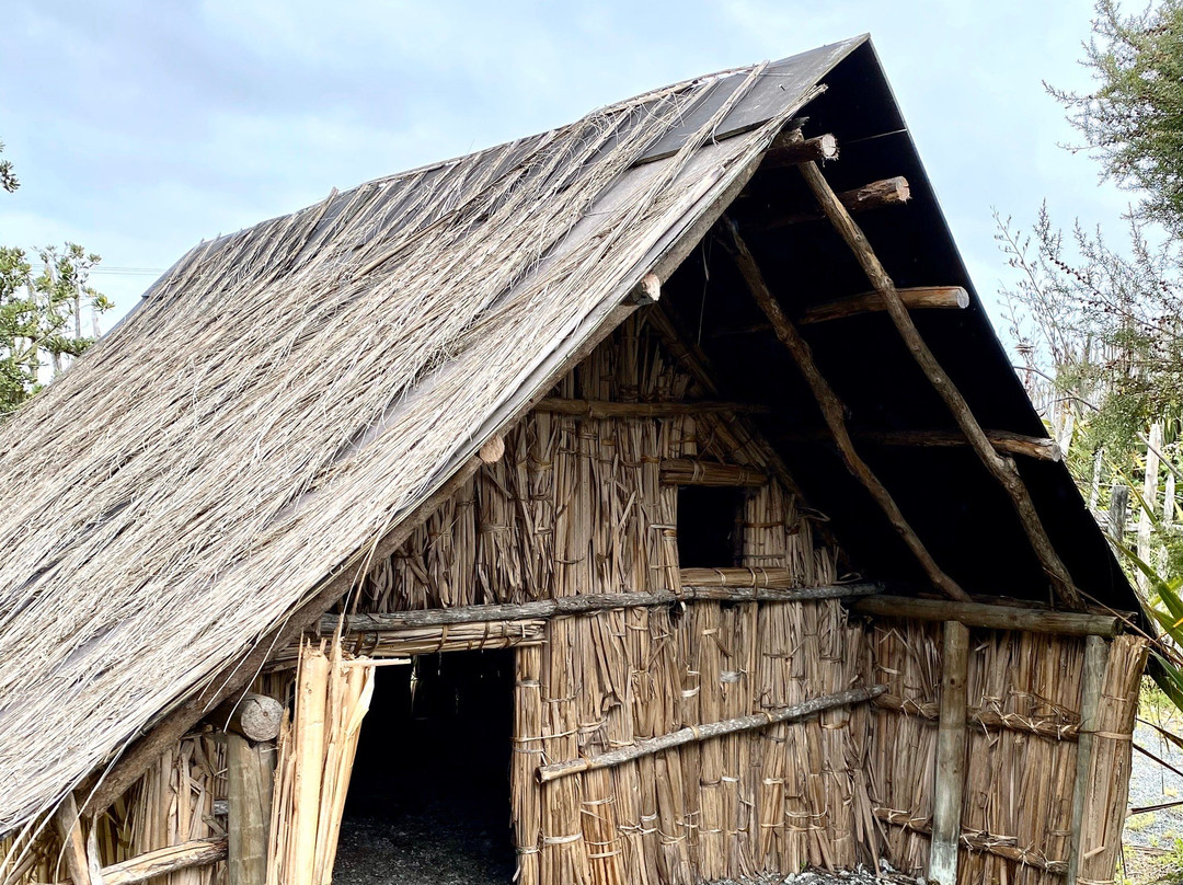 Te Hana Te Ao Marama Maori Cultural Centre景点图片