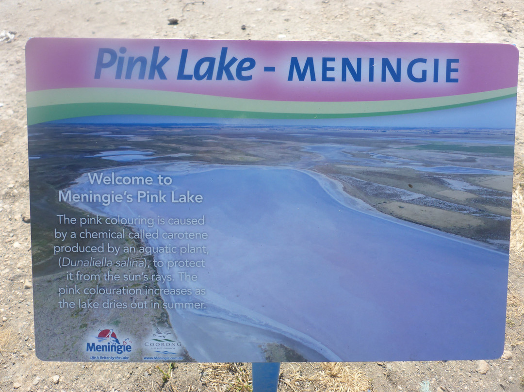 Pink Lake-Meningie必去景点