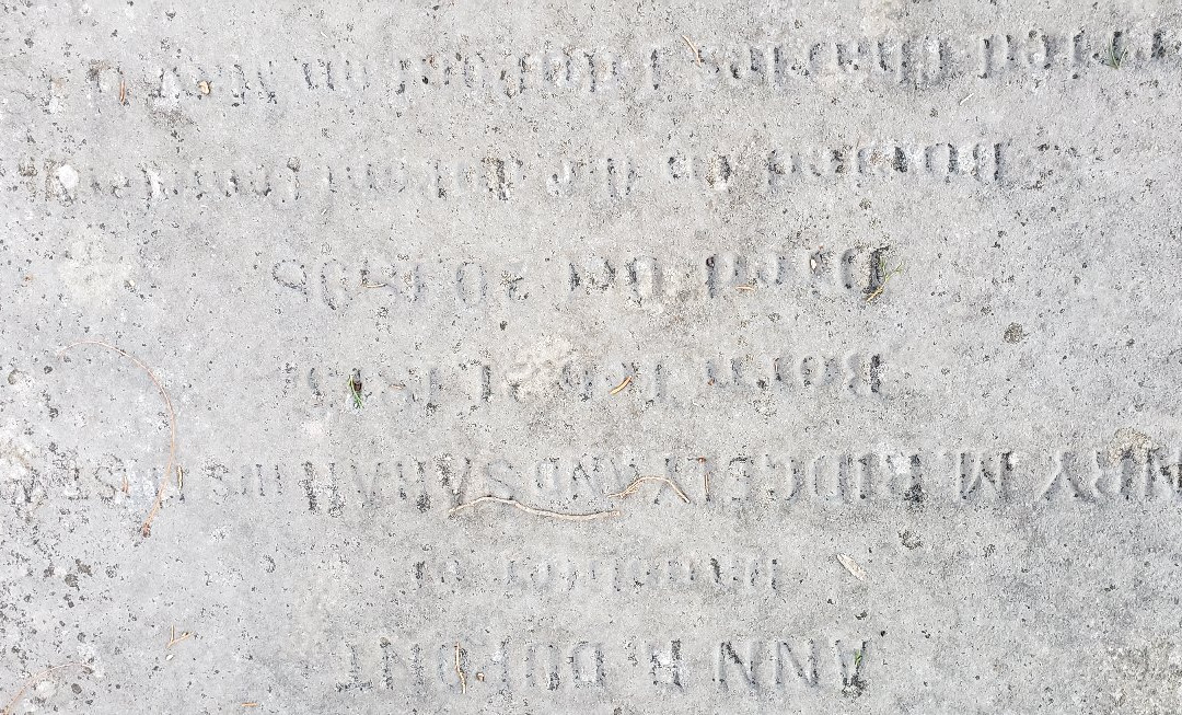 Christ Episcopal Church-多佛必去景点