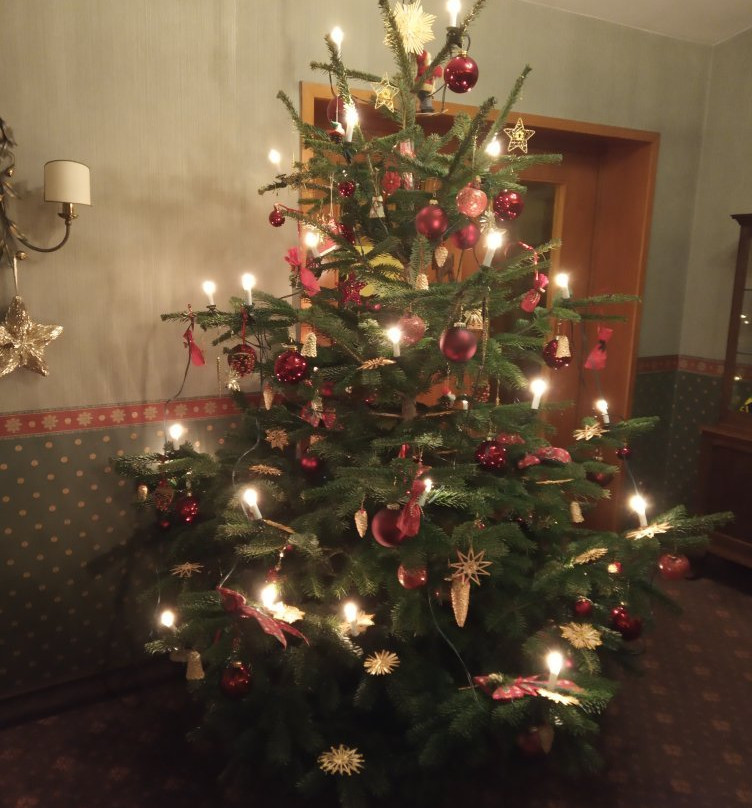 Hotel-Restaurant Berghof主图