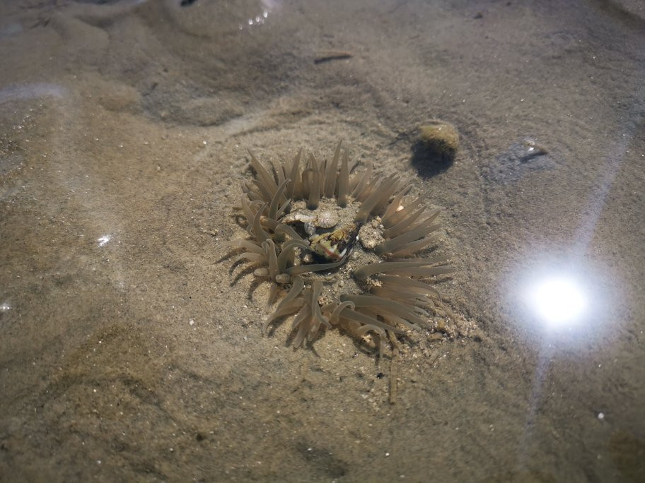 Wave Rest House & Cafe主图