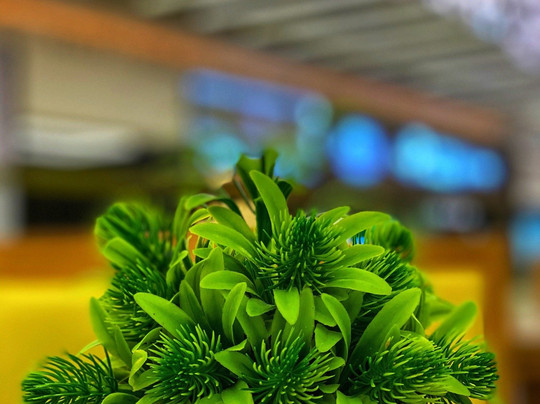 Al Hamra Mall-利雅德必去景点