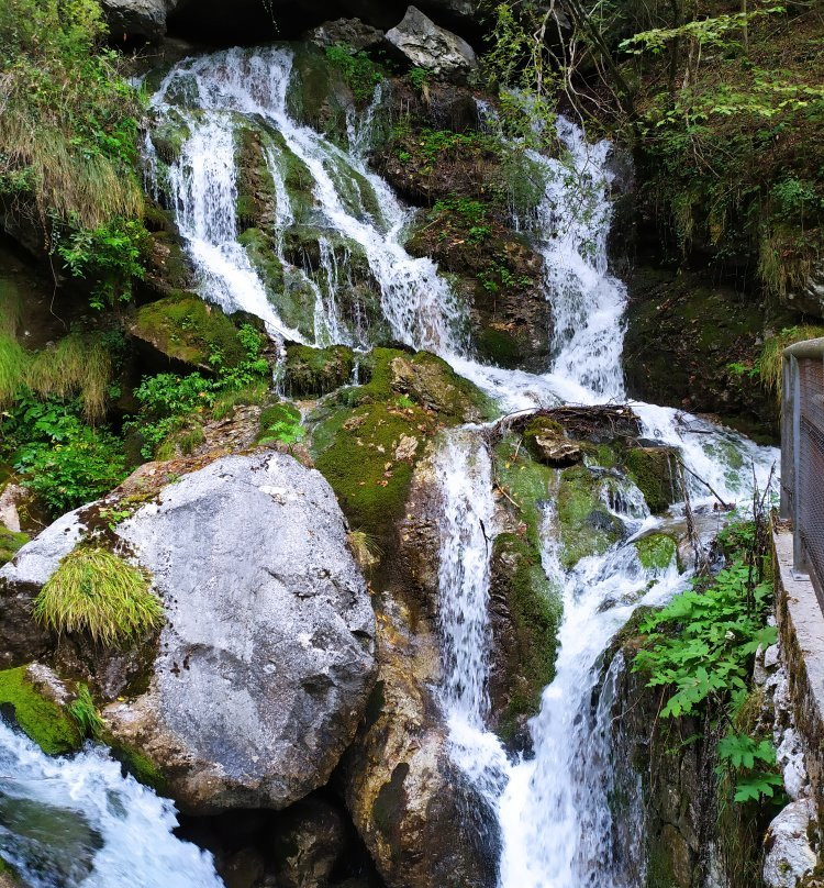 Area Natura Rio Bianco景点图片