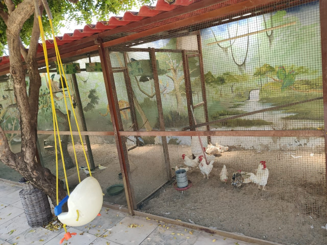 Hotel Jangadas主图