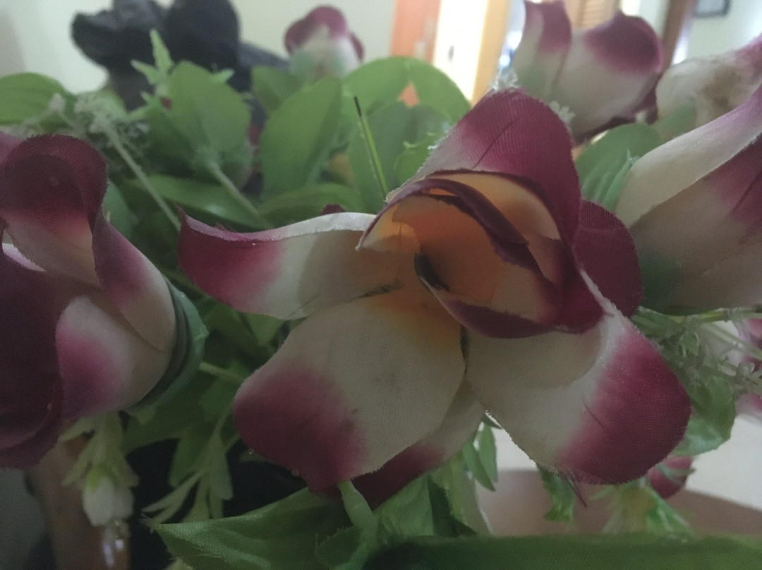 Hotel Marjorie 'Y'主图