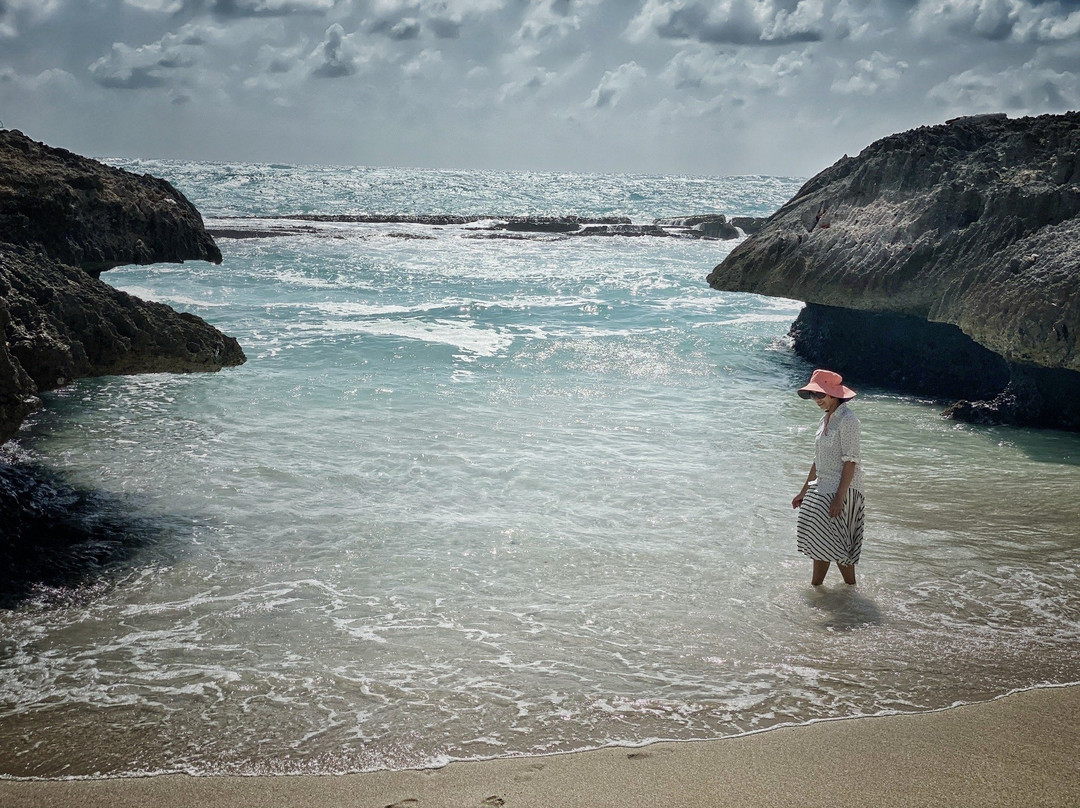 Shark Hole-巴巴多斯必去景点