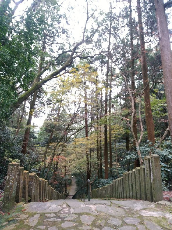 Kiyomizu Temple景点图片