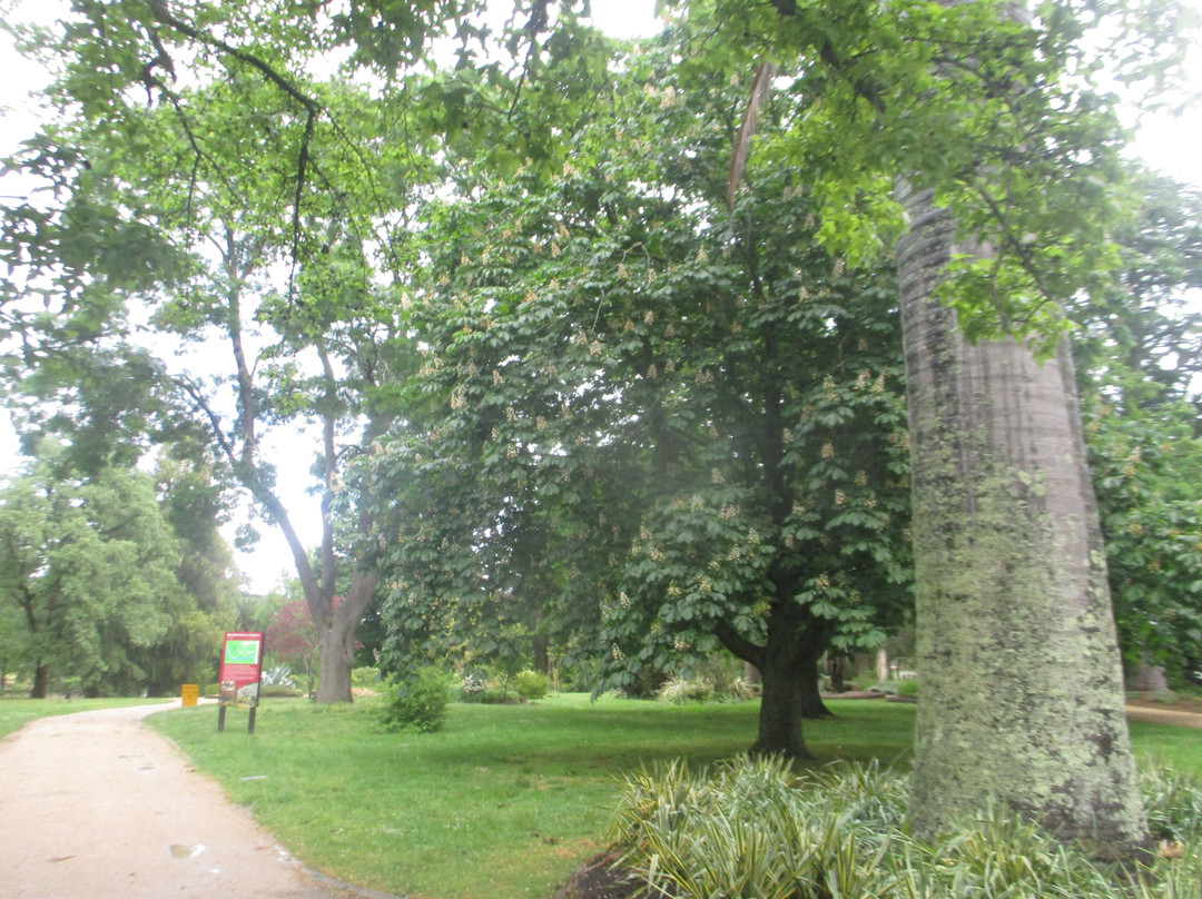 Kyneton Botanical Gardens-凯尼顿必去景点
