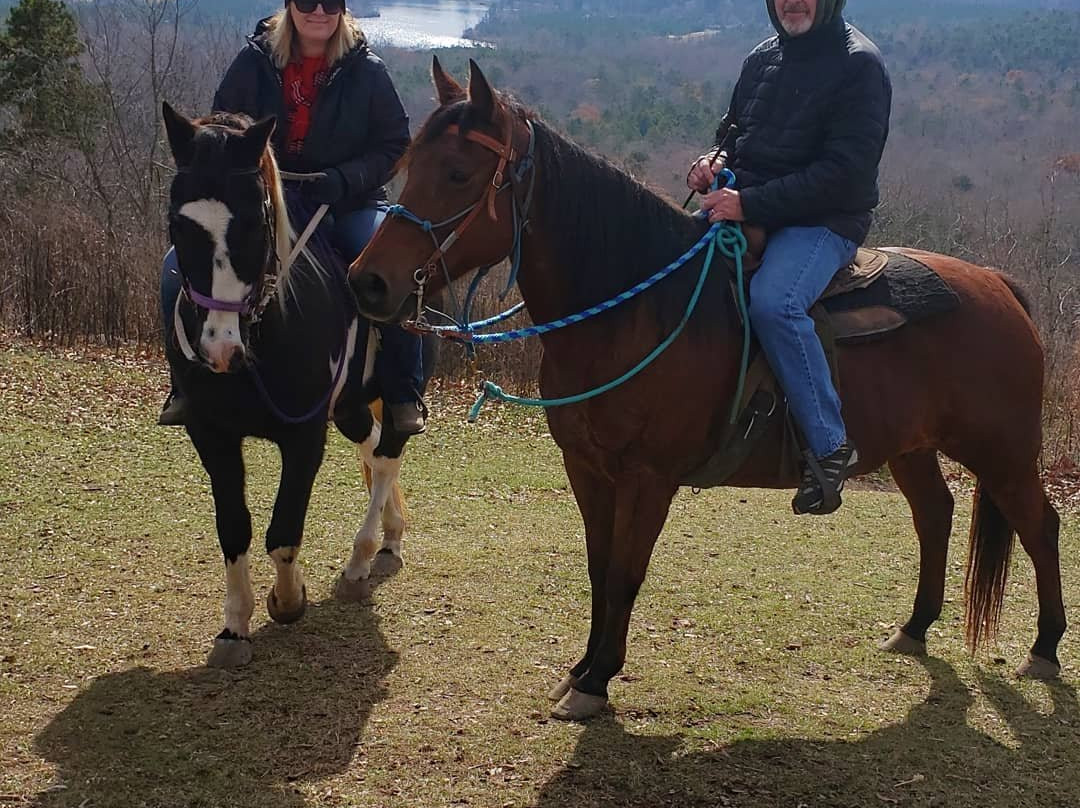 Roosevelt Stables-Pine Mountain必去景点