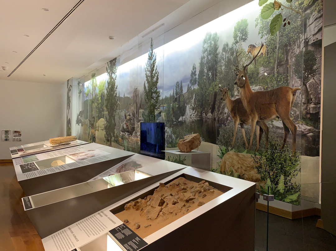 Museu de Leiria景点图片
