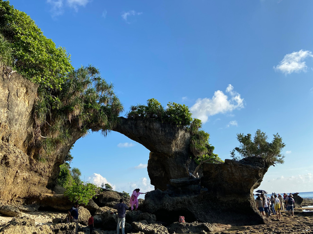 Natural Coral Bridge景点图片