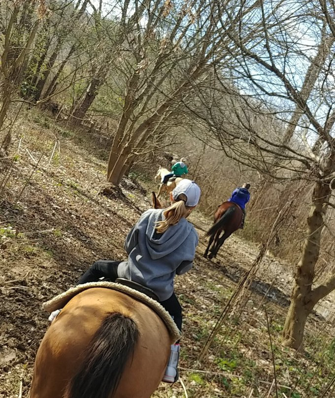 Salt Creek Ranch-Laurel必去景点