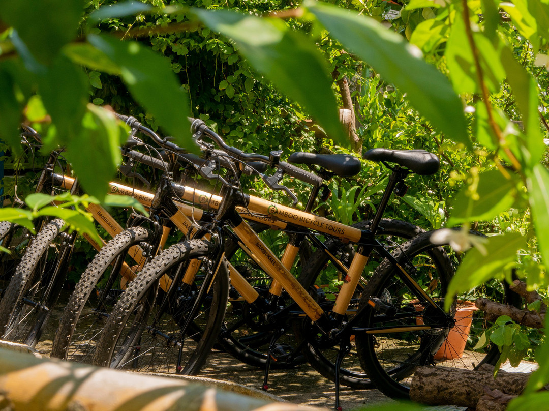 Bamboo Bicycle Tours Thailand景点图片