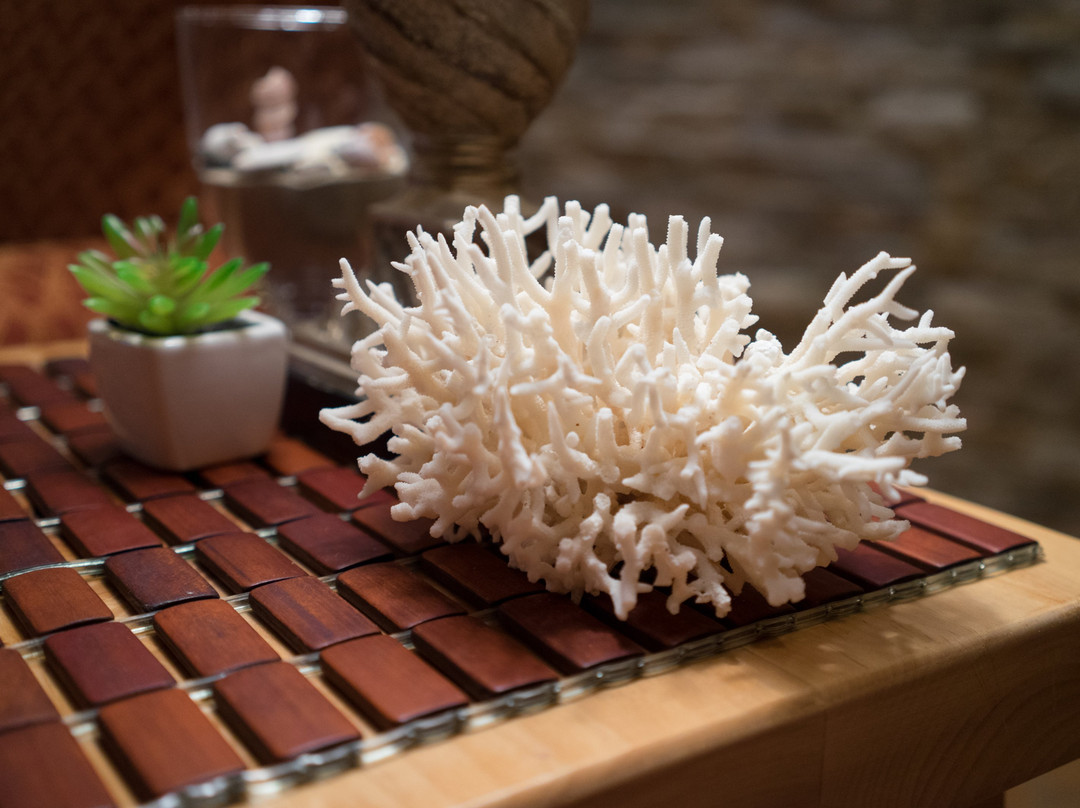 Elements by the Sea-坎农比奇必去景点