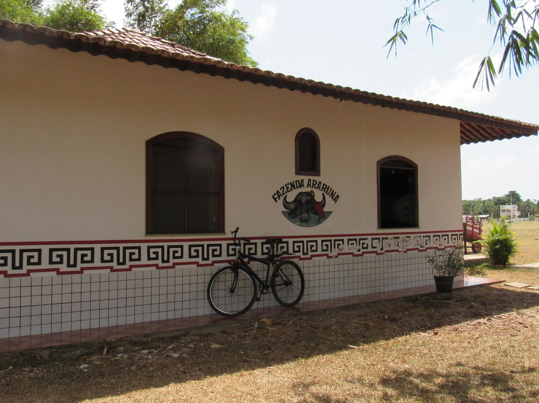 Araruna Farm-Soure必去景点