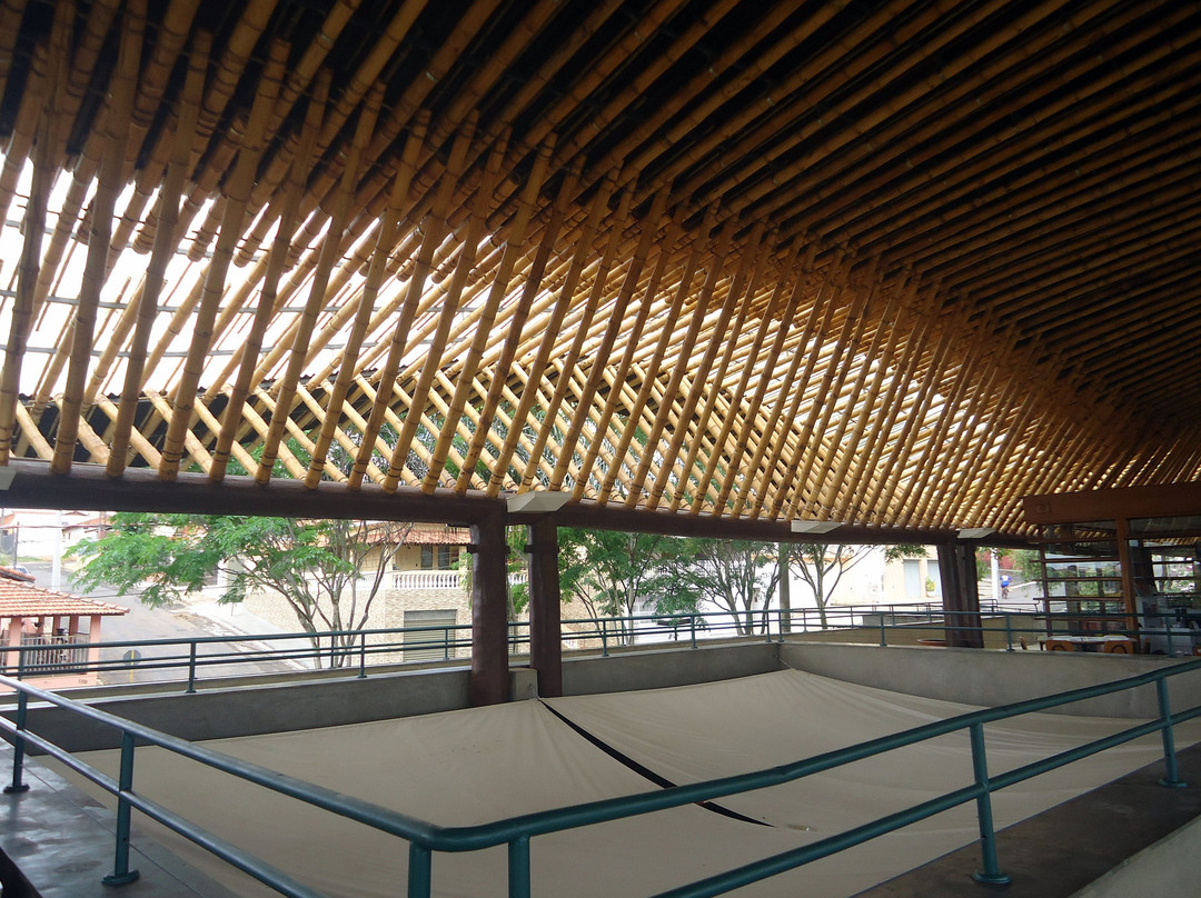 Centro Max Feffer Cultura e Sustentabilidade景点图片