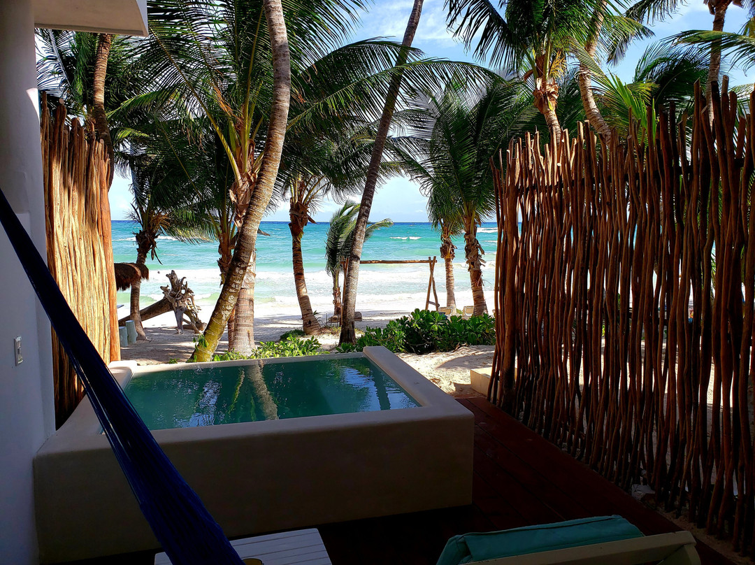 图卢姆小屋主图