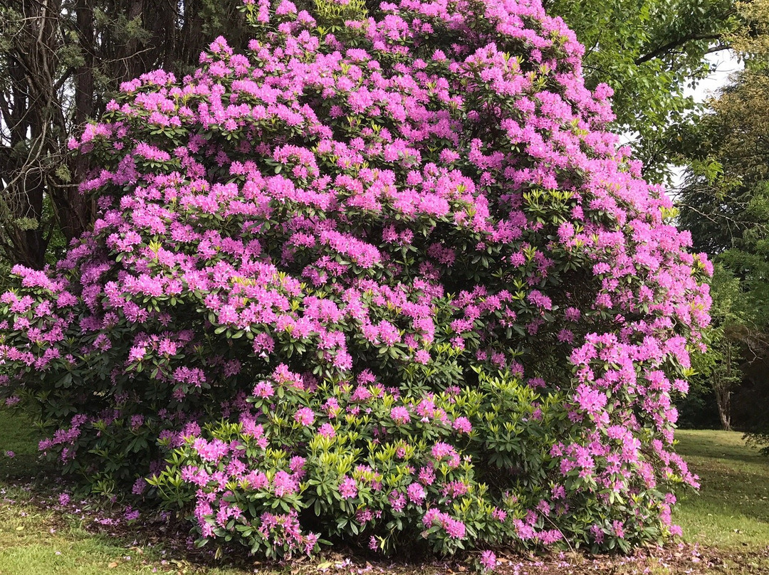 希尔布鲁克餐馆和美食-Cork at Cooks Corner