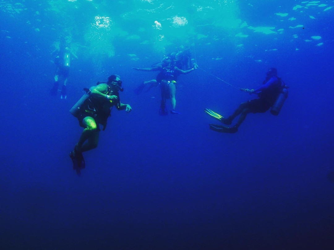 Scuba Diving Adventures景点图片