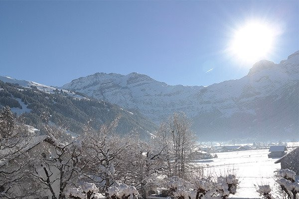 Chalet Spitzacker