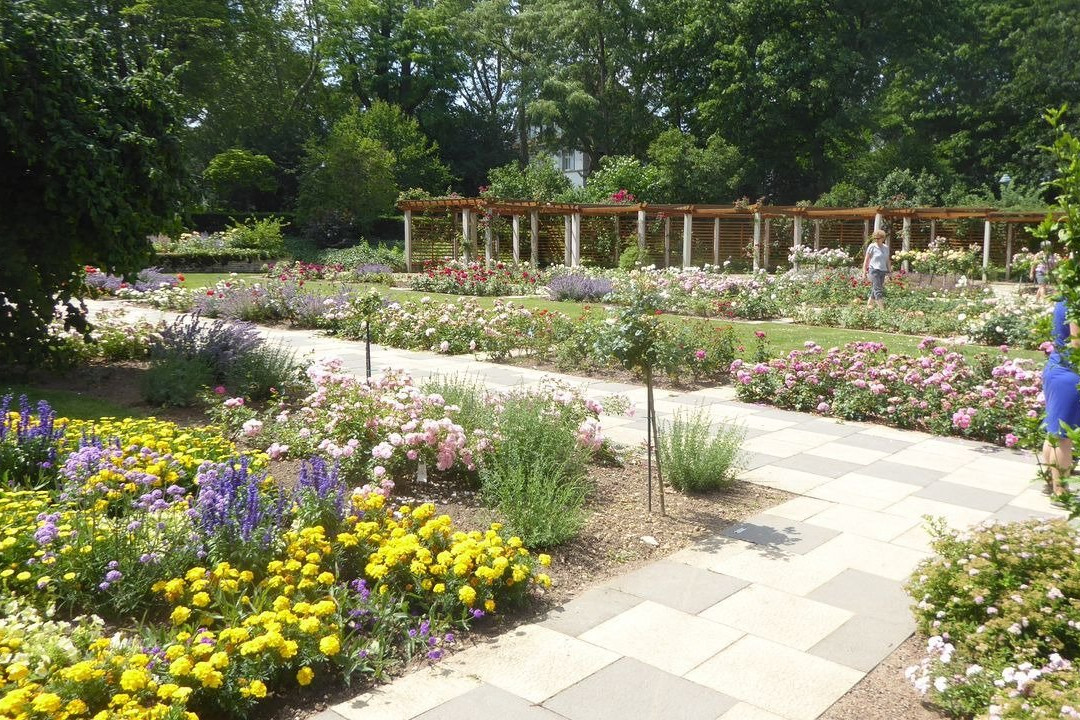 Stadt Park-美因茨必去景点