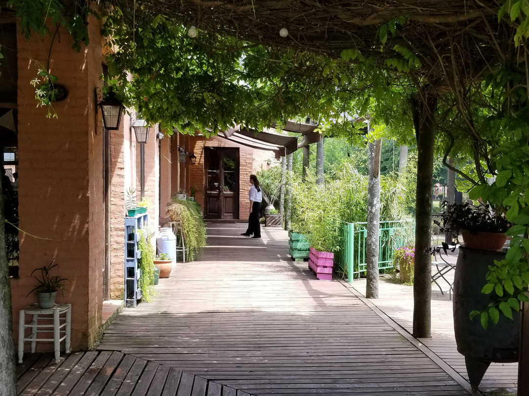 Pampas del Sur主图