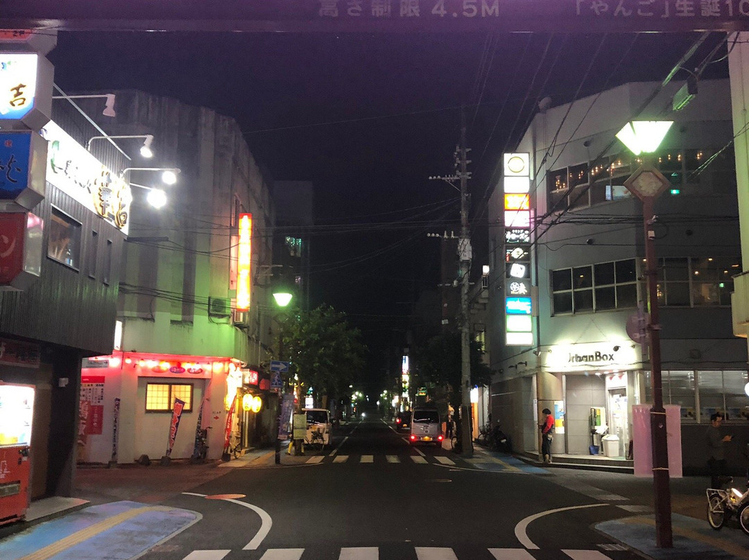 Yanigawa Shopping Street-奄美市必去景点