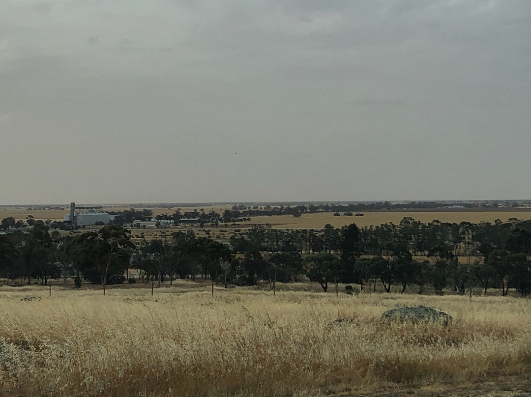 Mt Wycheproof-Wycheproof必去景点