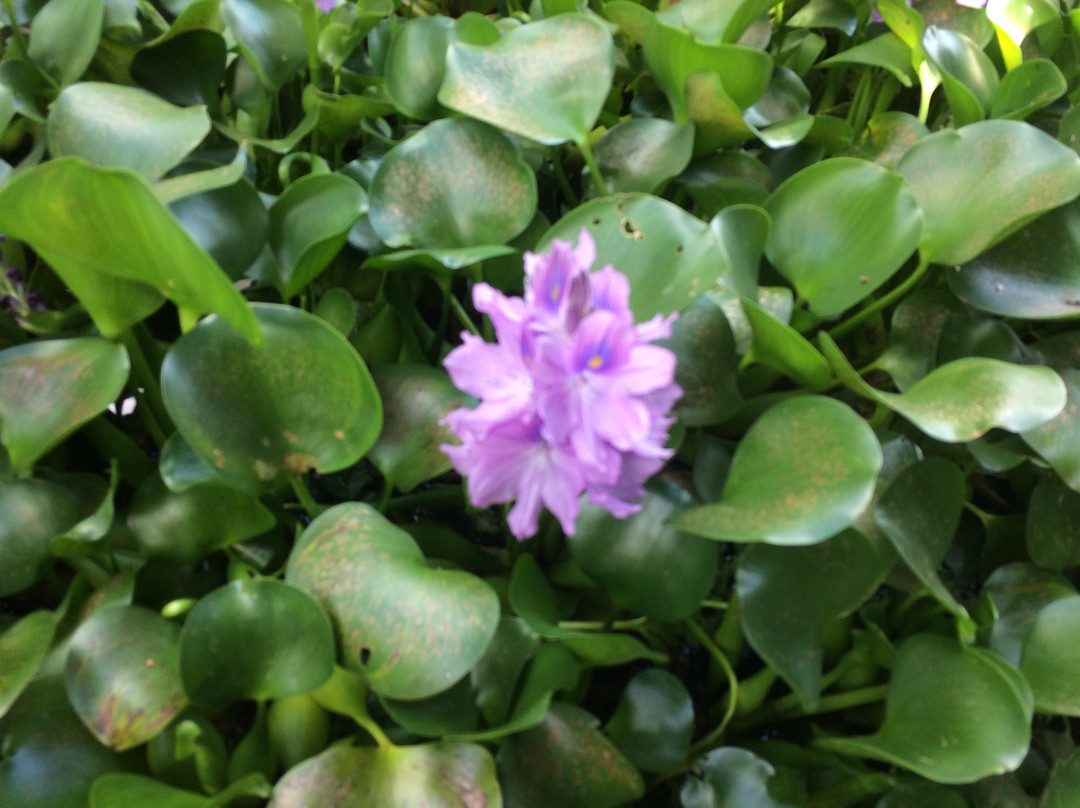 Parque nacional de la Uva-La Union必去景点