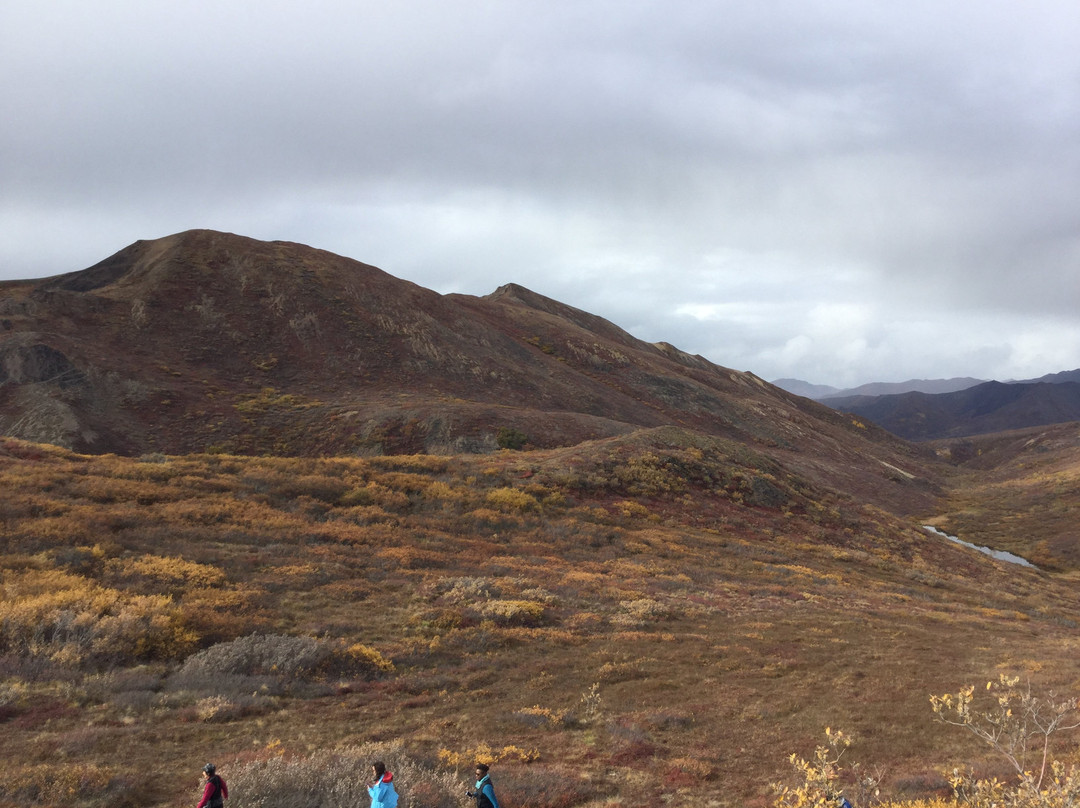 Eielson Visitor Center景点图片