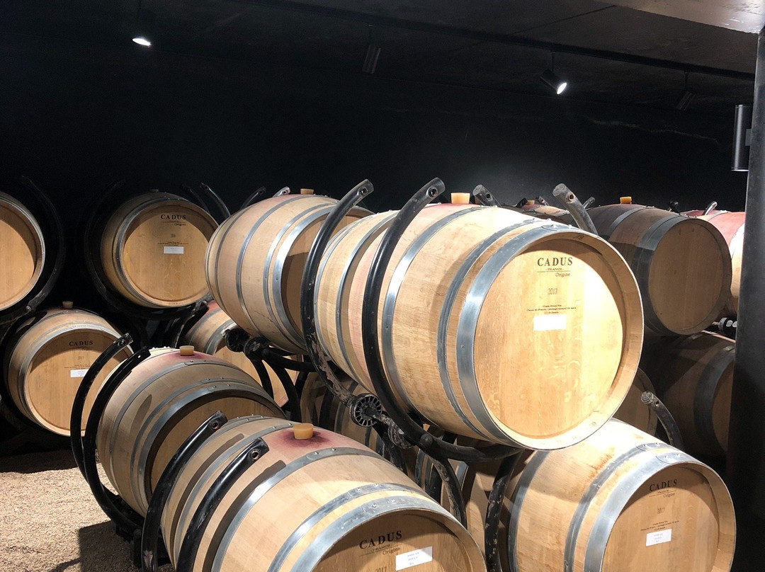 Domaine D'en Segur-Lavaur必去景点