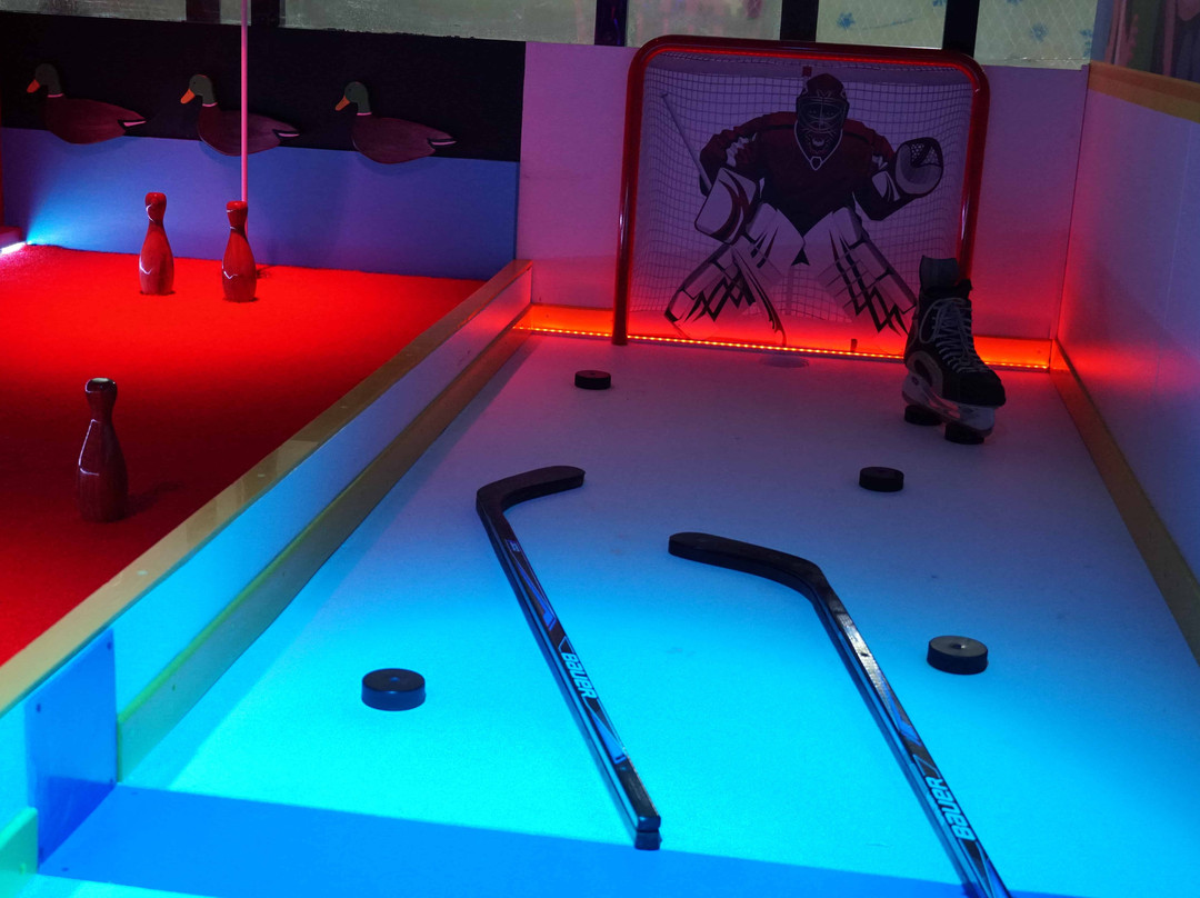 Paradice Ice Skating-波特尼唐斯必去景点