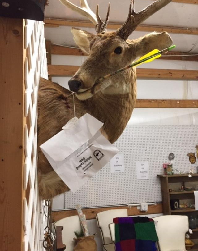 Vette City Antique Mall-鲍灵格林必去景点