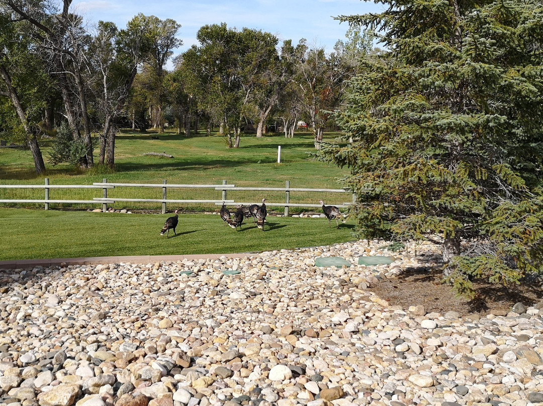 Hampton Inn & Suites Buffalo主图