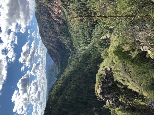 Snoopy Rock-塞多纳必去景点