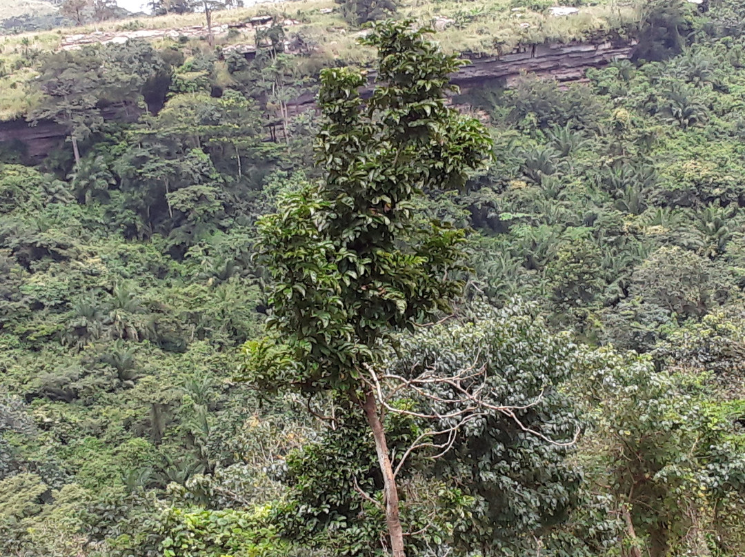 Umbrella Rock-Koforidua必去景点