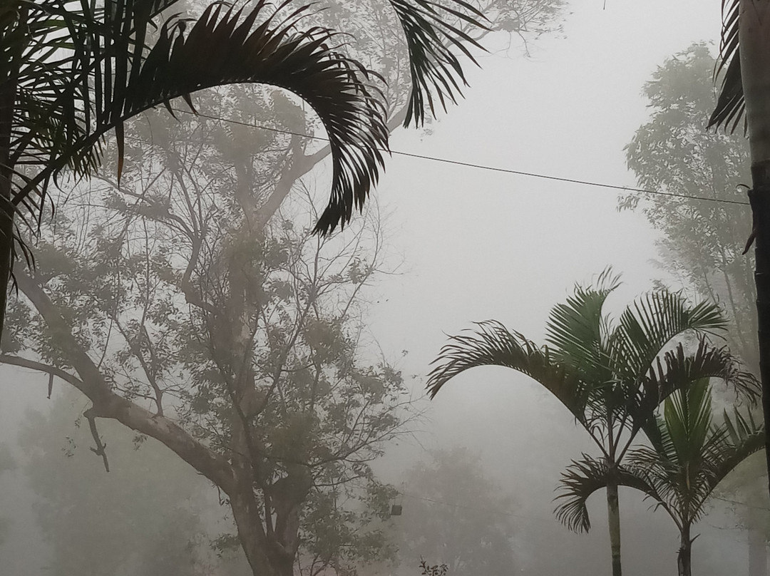 Treebo Trend Hotel Silver Inn主图