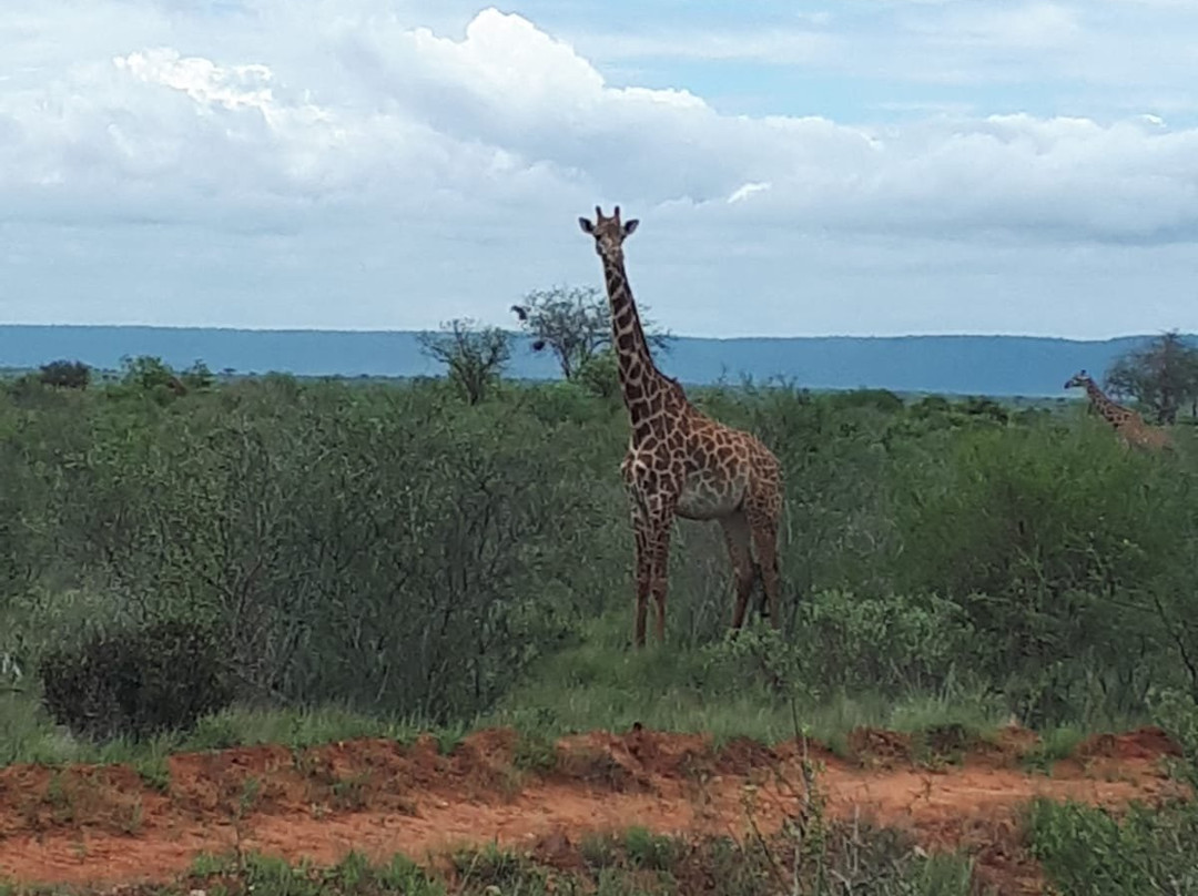 THOMAS SAFARI KENYA-瓦塔木必去景点