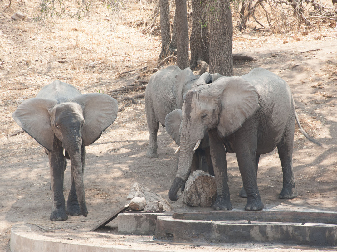 丛林漫步之旅酒店主图