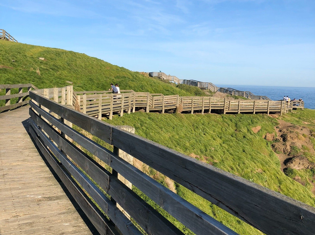 Land's End Lookout景点图片