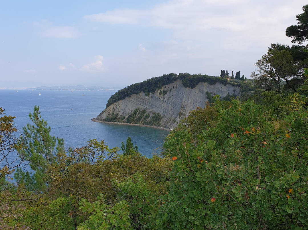 Strunjan Cliff-Strunjan必去景点