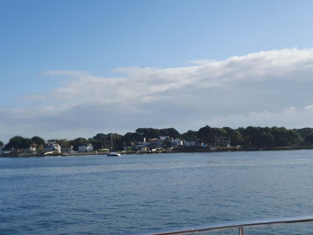 Greenslade Pleasure Boats (Poole) Ltd-普尔必去景点