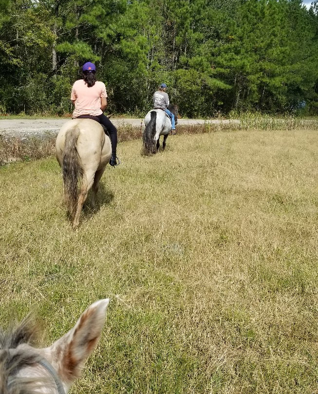 Desperado Horse Farm-Rocky Point必去景点