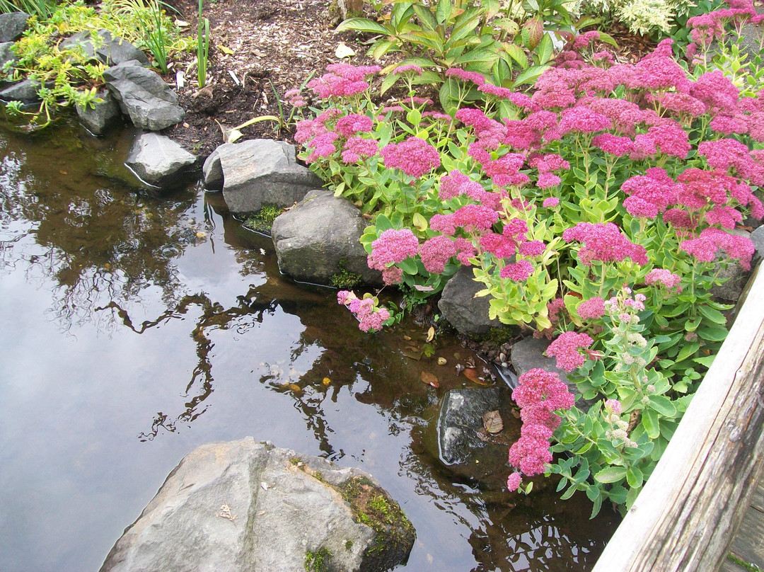 Highline SeaTac Botanical Gardens-西塔科必去景点