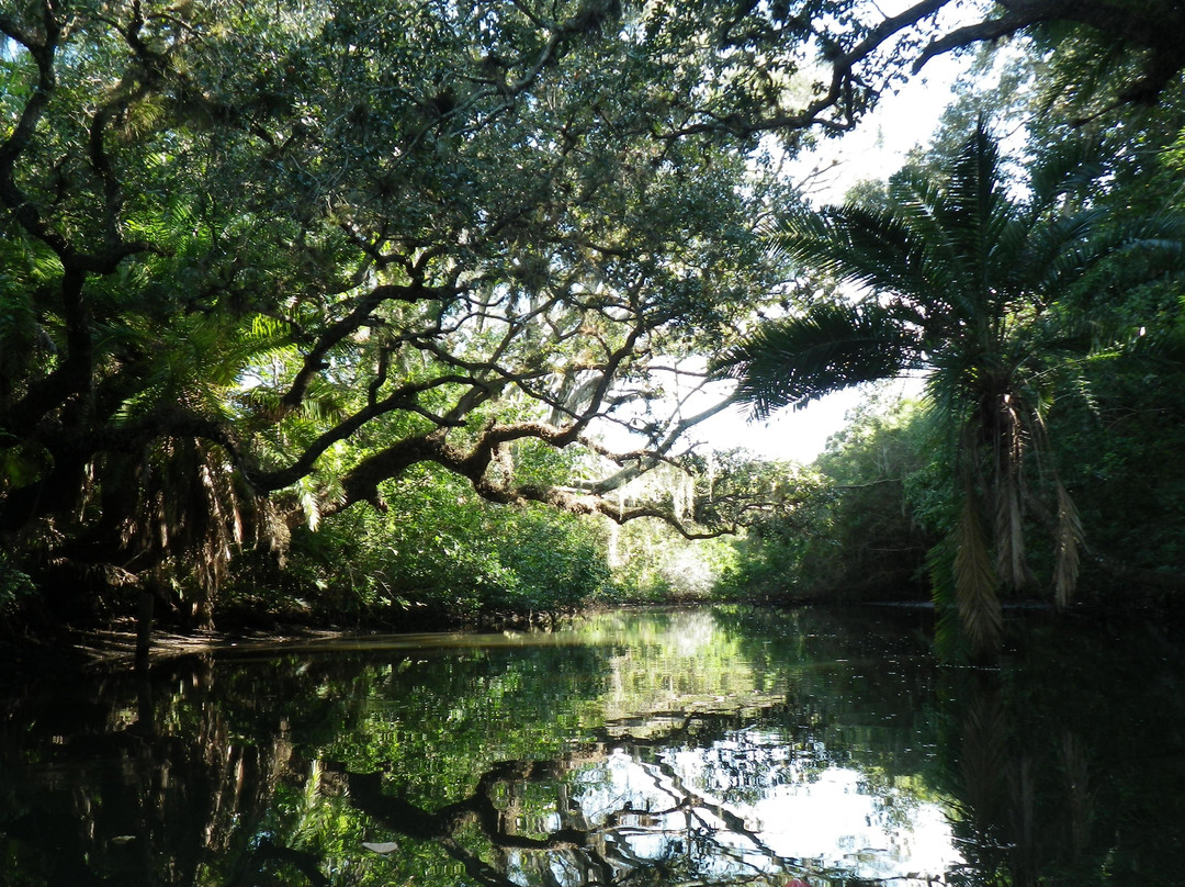 Estero River Outfitters