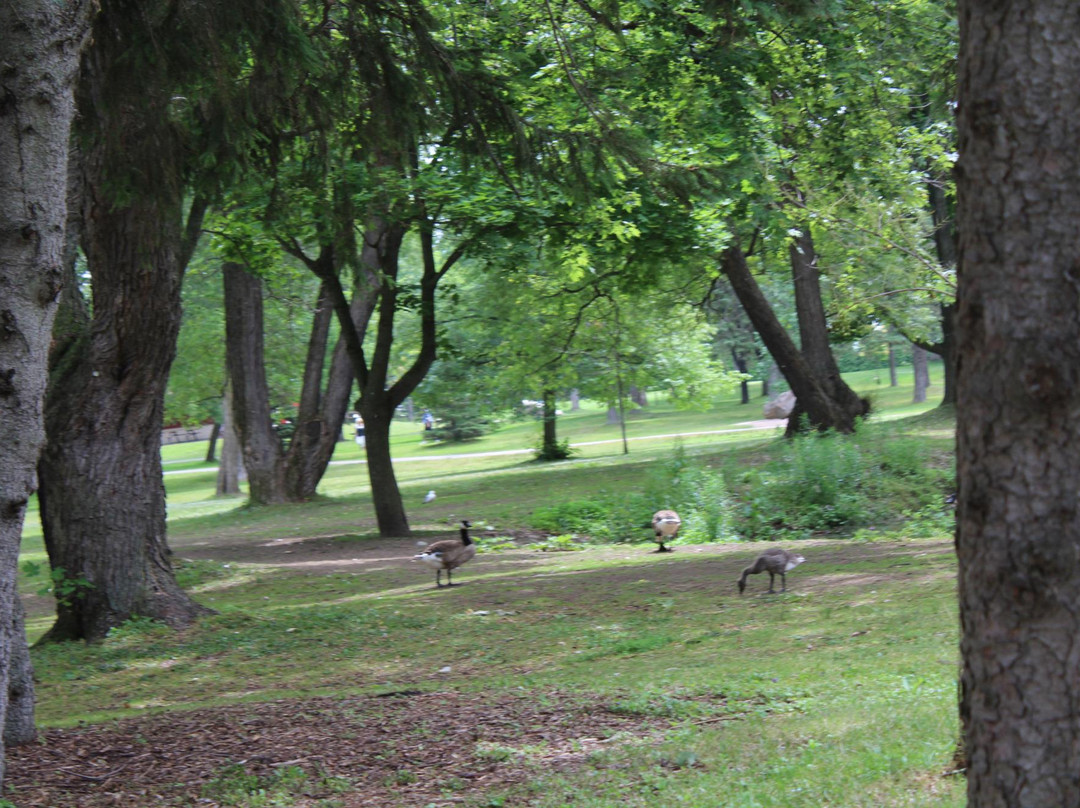 Bellevue Park景点图片